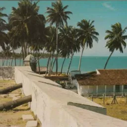 PAU AMARELO, CONCEIÇÃO E MARIA FARINHA