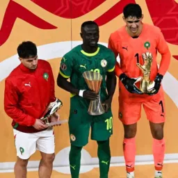 Futebol News 🏆⚽🏆