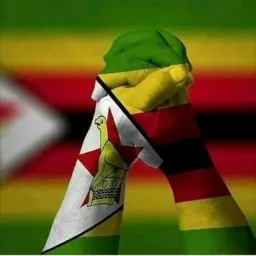Zimbabwe Yadzoka