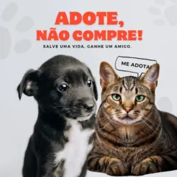 Me adota 🐾