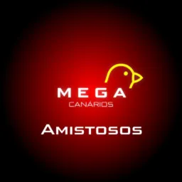 Amistosos MEGA canarios (GRUPO - COMBATE)⭐⚔️⭐