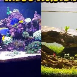 MARINHO🪼🦀🐡 VS  DOCE🌿🐠🐟🦞 vale do paraiba
