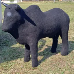 Rifa das Vaquinha