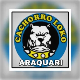 MOTOBOY CACHORRO LOKO ARAQUARI
