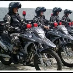 🚨🚔 HORA DA NOTÍCIA