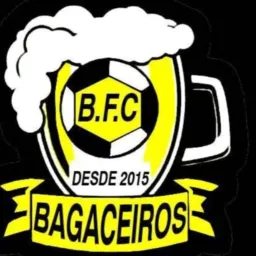 🧍‍♂️OS  BAGACEIROS   💃