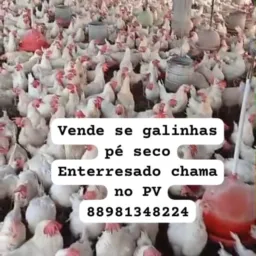 Grupos de trocas e vedas de Garças