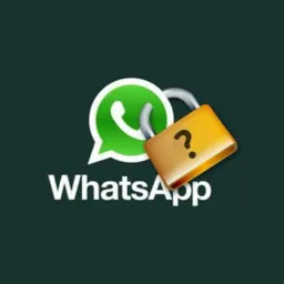 WhatsApp online 🇧🇷🇦🇴🇦🇨