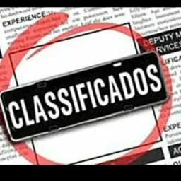 Classificados guaramirim