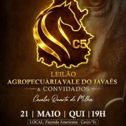 1 - LEILÃO AGROPECUÁRIA VALE DO JAVAÉS & CONVIDADOS
