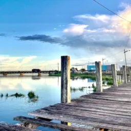 PINHEIRO 🌲NOTÍCIAS 📰 🎥