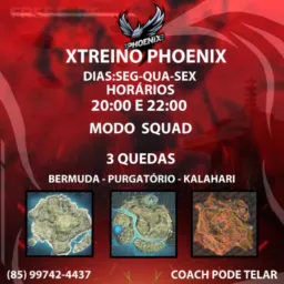 ❤️ XTREINO PHOENIX❤️