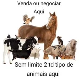 Venda e negocia aqui sem limite 2