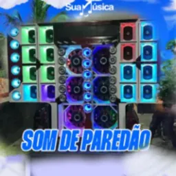 AMIGOS DO PISEIRO