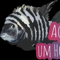 Loja Aquarismo um Hobby 2