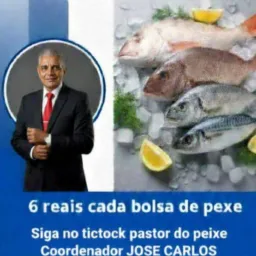 1 MARILÉIA 💫 PROJETO INTELIGENTE DE PEIXES
