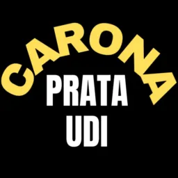 CARONAS PRATA UDI🚗