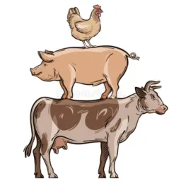 Animais, terrenos e automóveis
