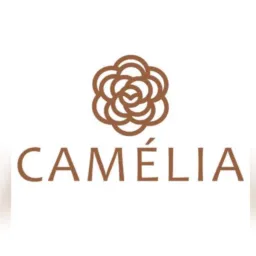 OUTLET VIP CAMELIA 💥👗