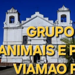 ANIMAIS EM GERAL E PETS VIAMAO RS