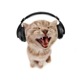 solta o som dj 🎶