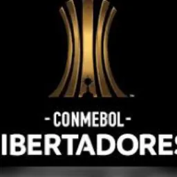 LIBERTADORES C.A.T.D