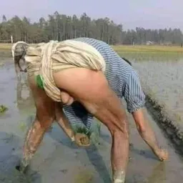 Cari pasangan