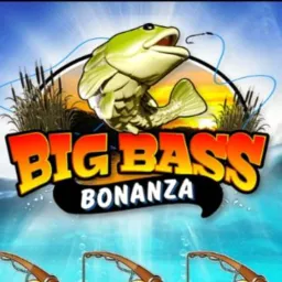 🤑 DONA DOS SLOTS 🤑