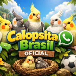 🕊️ CALOPSITAS BRASIL OFICIAL 🕊️