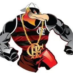 # 🦅 11 FLAMENGUISTA ACOSTUMADO A TÍTULOS