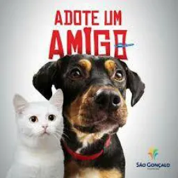 Adote por❤, não por raça!
