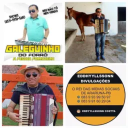 GRUPO FÃS DO GALEGUINHO DO FORRÓ