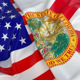Amizade e paquera Usa