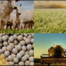 Rede Nacional de Compras e vendas do agro.