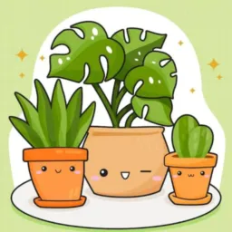 🌱Jardim encantado🌱 Vendas de plantas 🌸