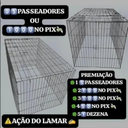 🍀💰AÇÕES LAMAR_ROOSTER 🇧🇷✍️