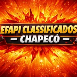 Efapi classificados Chapecó