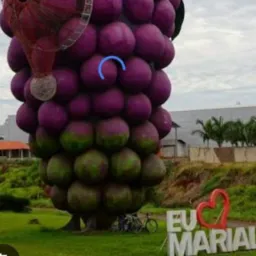 VENDAS TROCAS DOAÇÕES E EMPREGOS - MARIALVA🍇 & REGIÃO