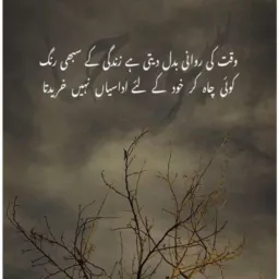 video. Shero.shayari.sending ویڈیو لائک کریں شیئر کریں اور سینڈنگ کریں💔💉🗣️🥷🏻⚔️⚔️🎧🎵🔏🩻