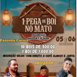 1° pega de boi - fazenda - caruru🐎💥