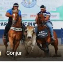 Grupo Vaquejada de luxo