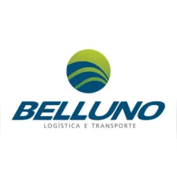 FRETES BELLUNO VALE-MT