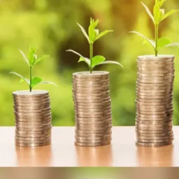 Divulgação de Projetos