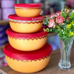 🌸🌸🌸irmães tupperware