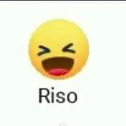 Só risos memes