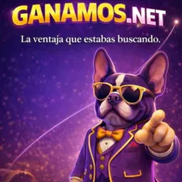 🎰 CASINO ONLINE 🎰 AGENTE FER