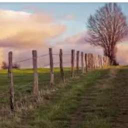 Anari sítios e fazendas
