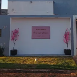 PERFUMARIA MULHER UNICA