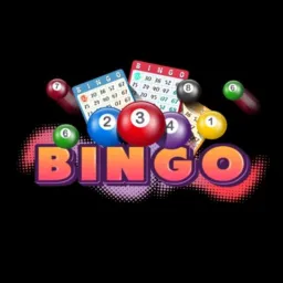 Bingo ao vivo