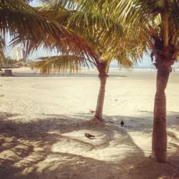 Prainha do Maracanã